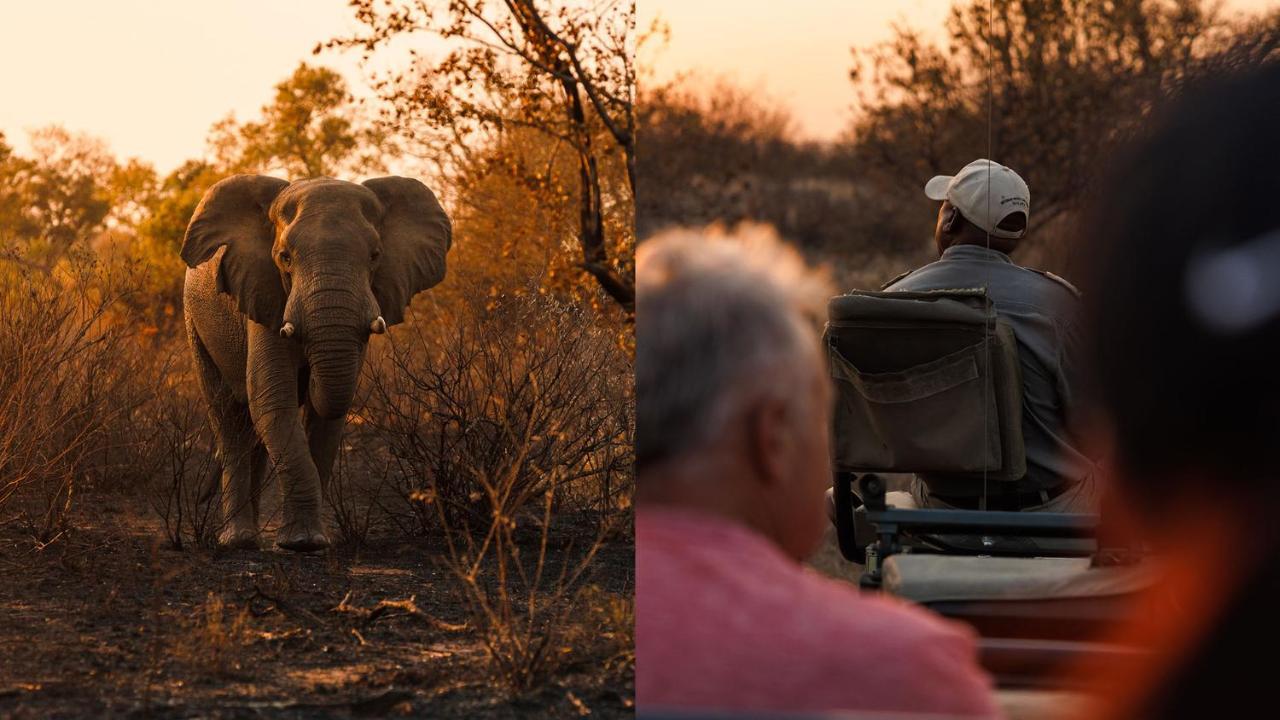 Geiger'S Camp In Timbavati Game Reserve By Newmark Εξωτερικό φωτογραφία