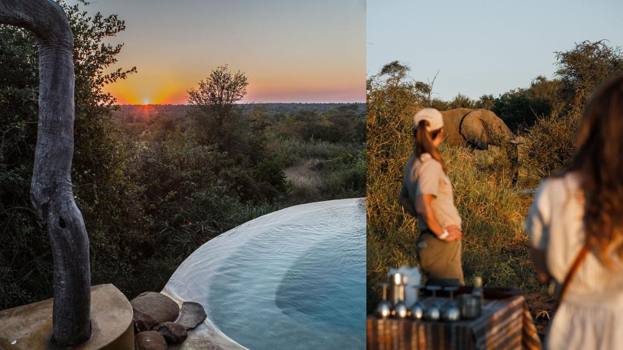 Geiger'S Camp In Timbavati Game Reserve By Newmark Εξωτερικό φωτογραφία