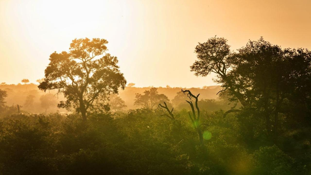 Geiger'S Camp In Timbavati Game Reserve By Newmark Εξωτερικό φωτογραφία